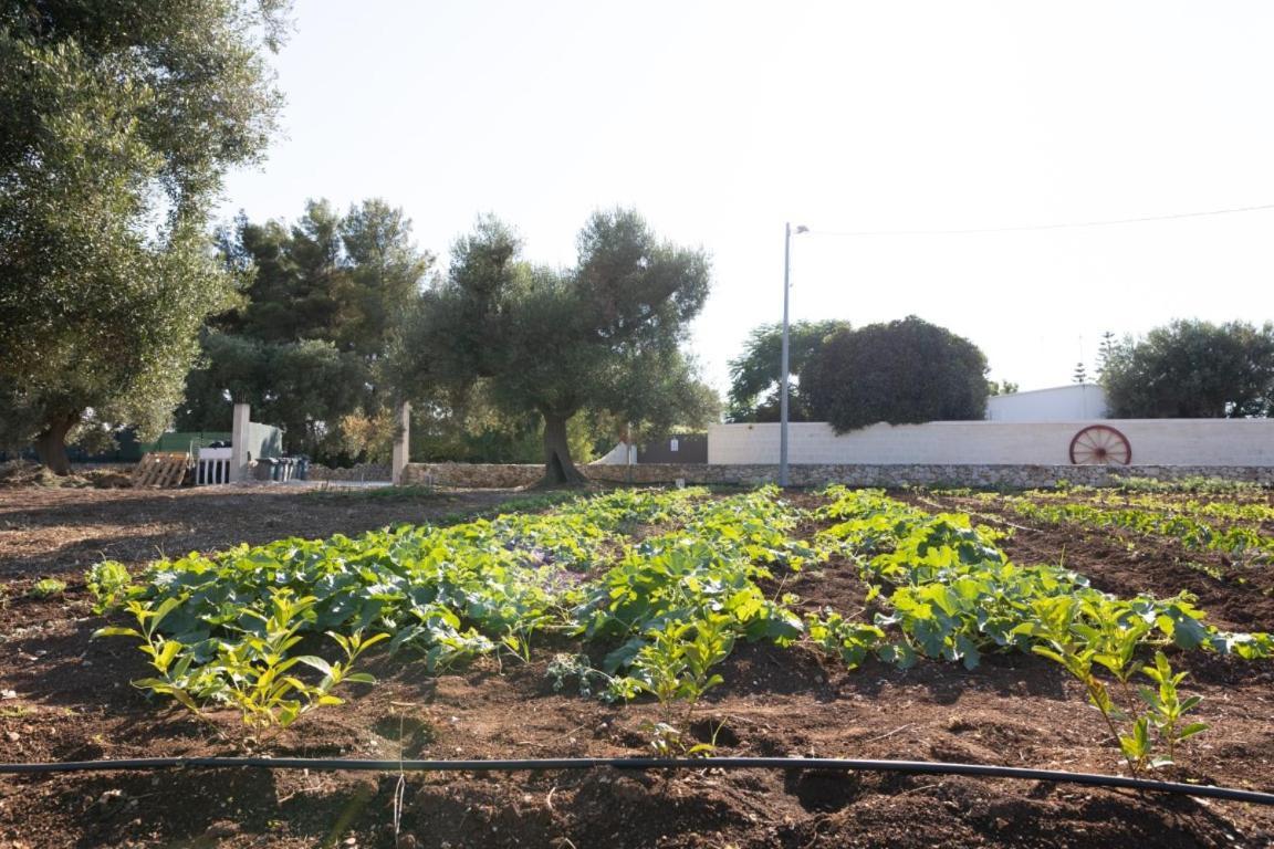Agrifamily Village San Vito dei Normanni Exterior photo